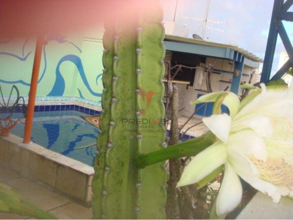 Imagem Apartamento com 5 Quartos à Venda, 617 m² em Boa Viagem - Recife