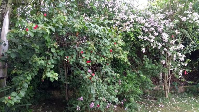 Imagem Imóvel com 3 Quartos à Venda, 2.300 m² em Jardim Colonial 1 - Araçoiaba Da Serra Imagem Imóvel com 3 Quartos à Venda, 2.300 m² em Jardim Colonial 1 - Araçoiaba Da Serra