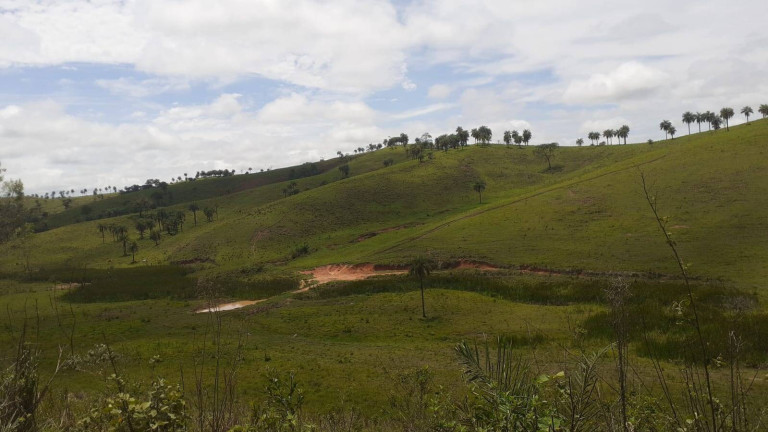 Imagem Fazenda à Venda, 1.950 m² em Centro - Córrego Danta Imagem Fazenda à Venda, 1.950 m² em Centro - Córrego Danta