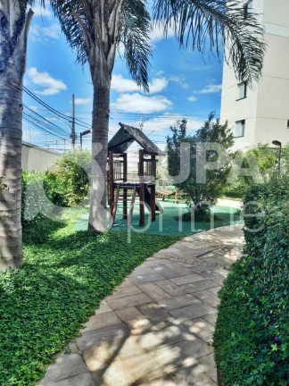 Imagem Apartamento com 3 Quartos à Venda, 63 m² em Vila Guilherme - São Paulo