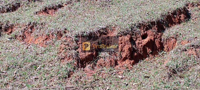 Imagem Imóvel com 3 Quartos à Venda, 532.400 m² em Itaqueri Da Serra - Itirapina