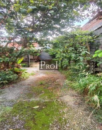 Terreno à Venda, 185 m² em Vila Palmares - Santo André