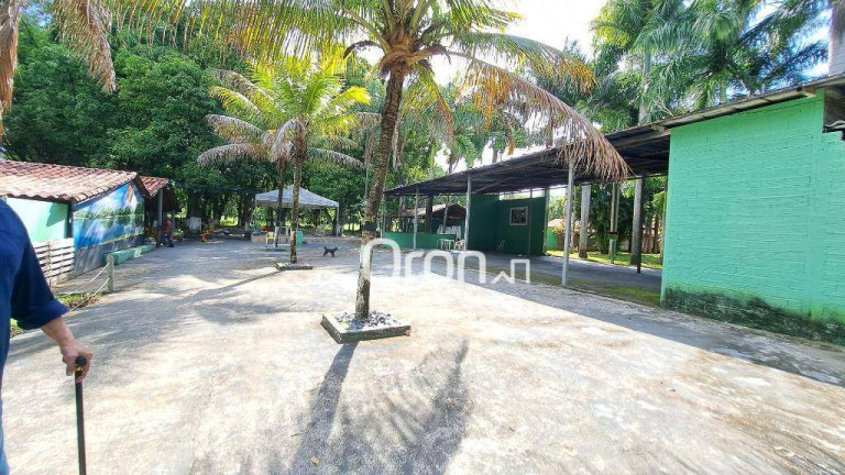 Imagem Chácara com 4 Quartos à Venda, 46.000 m² em Trindade - Trindade