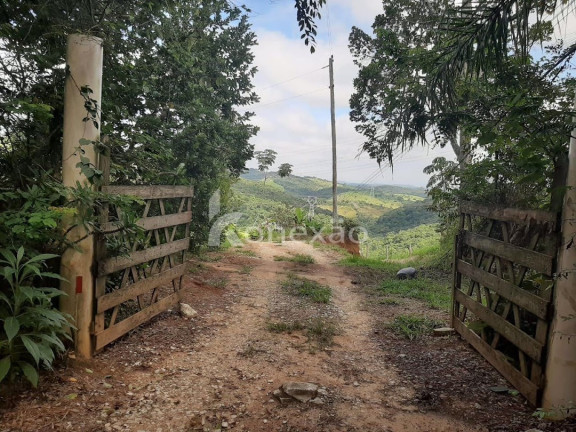 Imagem Chácara com 3 Quartos à Venda, 300 m² em Centro - Taubaté Imagem Chácara com 3 Quartos à Venda, 300 m² em Centro - Taubaté