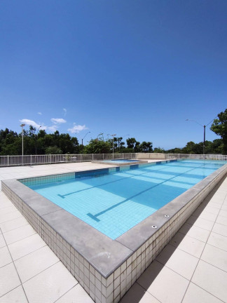 Imagem Apartamento com 2 Quartos à Venda, 48 m² em Ourimar - Serra