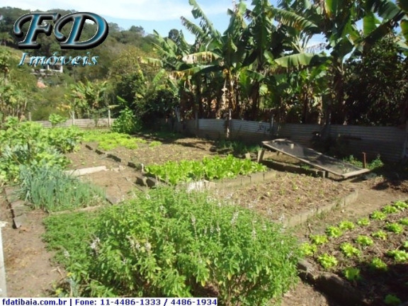 Imagem Chácara com 3 Quartos à Venda, 20.000 m² em Não Especificado - Mairiporã Imagem Chácara com 3 Quartos à Venda, 20.000 m² em Não Especificado - Mairiporã