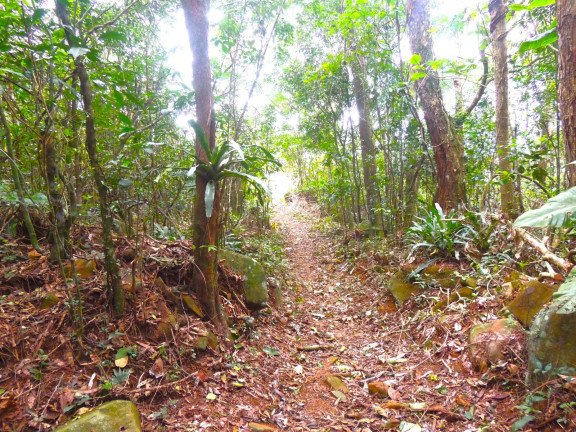 Imagem Terreno à Venda, 46.578 m² em Macacu - Garopaba Imagem Terreno à Venda, 46.578 m² em Macacu - Garopaba