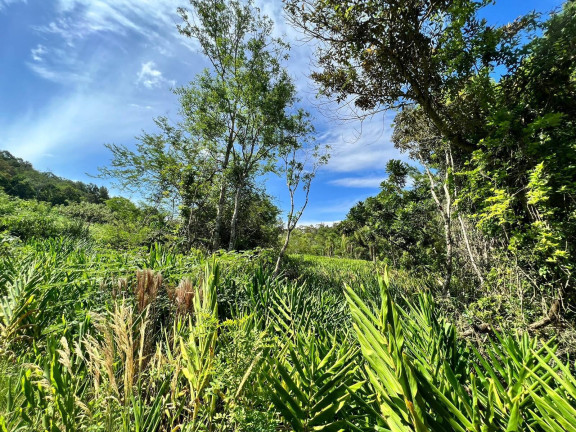 Imagem Chácara à Venda, 2 m² em Morungava - Gravataí Imagem Chácara à Venda, 2 m² em Morungava - Gravataí