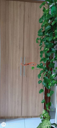 Imagem Apartamento com 2 Quartos à Venda, 44 m² em Conjunto Habitacional Padre Manoel Da Nóbrega - São Paulo Imagem Apartamento com 2 Quartos à Venda, 44 m² em Conjunto Habitacional Padre Manoel Da Nóbrega - São Paulo