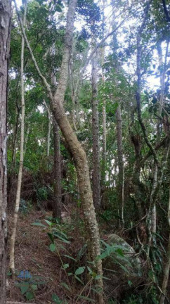 Imagem Terreno à Venda, 27.000 m² em Santo Antônio De Lisboa - Florianópolis Imagem Terreno à Venda, 27.000 m² em Santo Antônio De Lisboa - Florianópolis