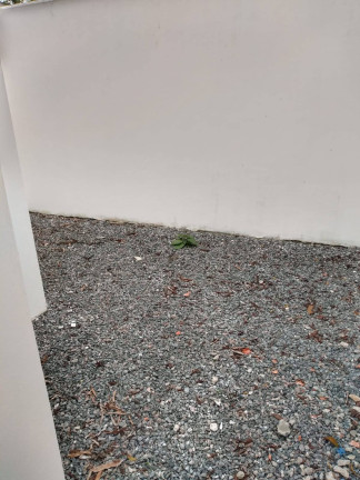 Imagem Casa com 3 Quartos à Venda, 125 m² em Santo Antônio Dos Prazeres - Feira De Santana Imagem Casa com 3 Quartos à Venda, 125 m² em Santo Antônio Dos Prazeres - Feira De Santana