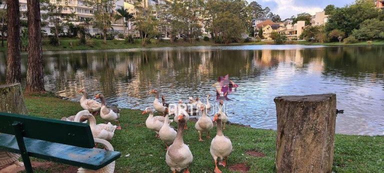 Imagem Sobrado com 5 Quartos à Venda, 800 m² em Parque Terra Nova Ii - São Bernardo Do Campo