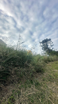 Imagem Terreno à Venda,  em Centro - Imaruí
