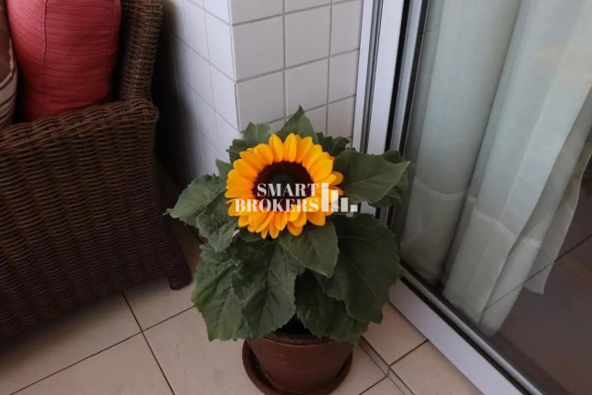 Imagem Apartamento com 3 Quartos à Venda, 136 m² em Alto Do Ipiranga - São Paulo Imagem Apartamento com 3 Quartos à Venda, 136 m² em Alto Do Ipiranga - São Paulo