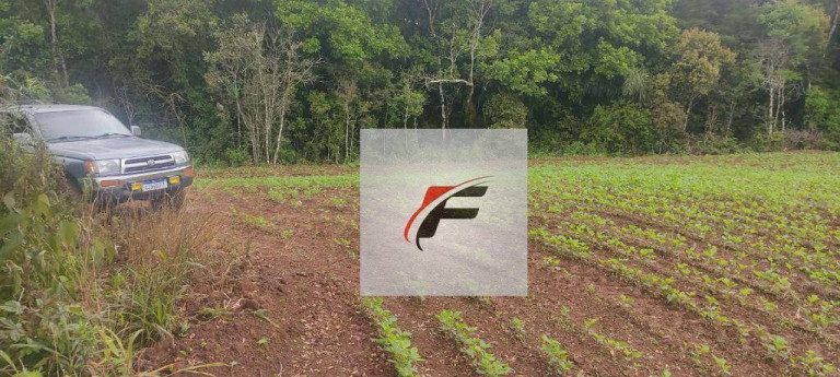 Imagem Chácara com 1 Quarto à Venda, 137.214 m² em Colônia Balbino Cunha - Campo Largo Imagem Chácara com 1 Quarto à Venda, 137.214 m² em Colônia Balbino Cunha - Campo Largo