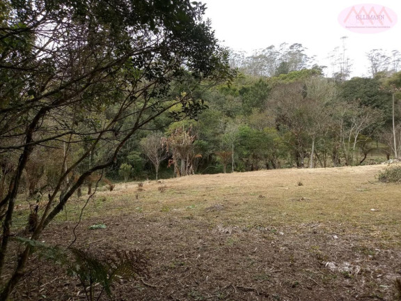 Imagem Imóvel com 6 Quartos à Venda, 128 m² em Biritiba-ussu - Mogi Das Cruzes Imagem Imóvel com 6 Quartos à Venda, 128 m² em Biritiba-ussu - Mogi Das Cruzes