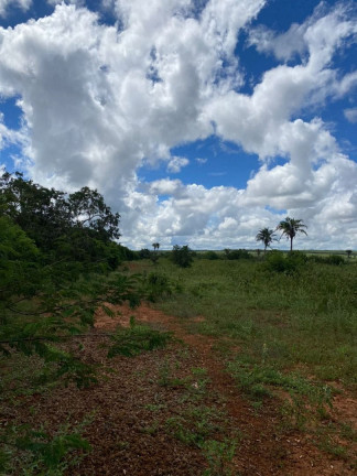 Imagem Fazenda à Venda, 310.000 m² em Br 116 - Euclides Da Cunha Imagem Fazenda à Venda, 310.000 m² em Br 116 - Euclides Da Cunha