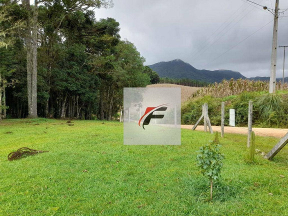 Imagem Chácara com 3 Quartos à Venda, 20.000 m² em Colônia Malhada - São José Dos Pinhais Imagem Chácara com 3 Quartos à Venda, 20.000 m² em Colônia Malhada - São José Dos Pinhais
