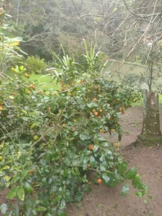 Imagem Imóvel com 5 Quartos à Venda, 100 m² em Sorocamirim - Ibiúna