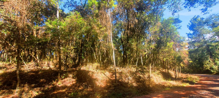 Imagem Imóvel à Venda, 700 m² em Recanto Dos Palmares - Atibaia Imagem Imóvel à Venda, 700 m² em Recanto Dos Palmares - Atibaia