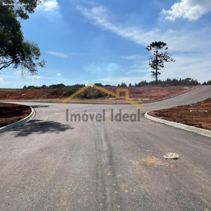 Terreno à Venda, 230 m² em Costeira - Araucária