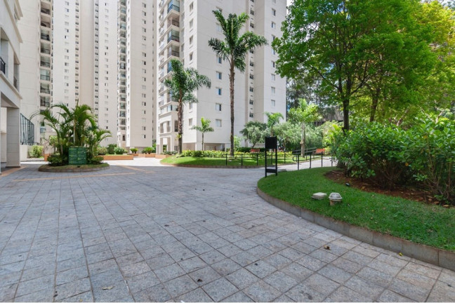 Imagem Apartamento com 3 Quartos à Venda, 81 m² em Vila Amélia - São Paulo