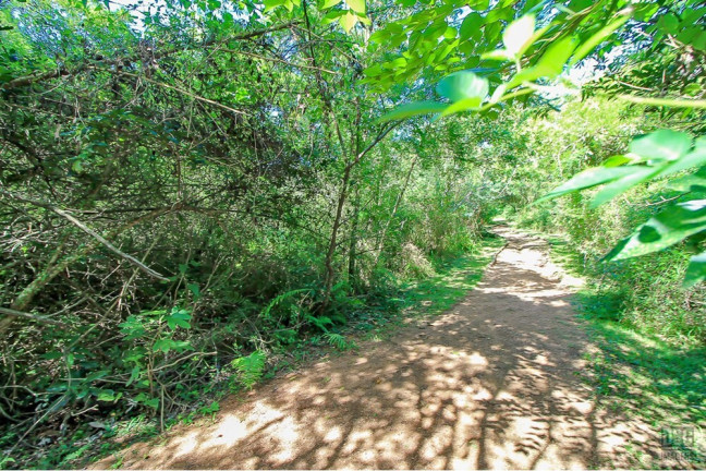 Imagem Terreno à Venda, 1.563 m² em Aberta Dos Morros - Porto Alegre Imagem Terreno à Venda, 1.563 m² em Aberta Dos Morros - Porto Alegre