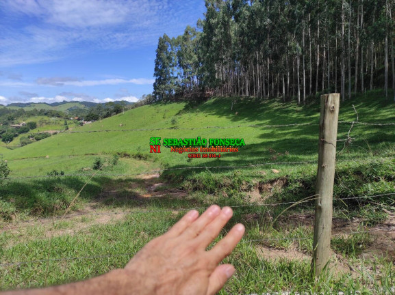 Imagem Chácara à Venda, 20.000 m² em Centro - Paraibuna