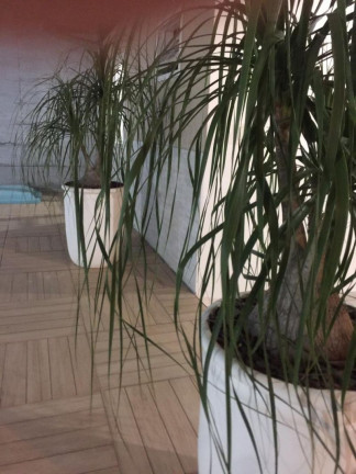 Imagem Casa com 3 Quartos à Venda, 409 m² em Serraria - São José