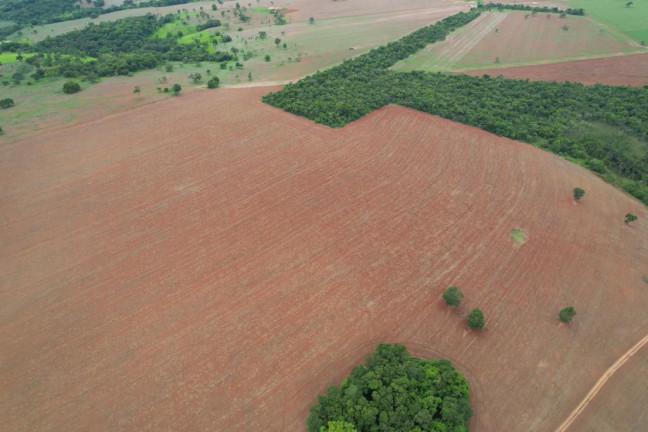 Imagem Fazenda à Venda, 60 m² em Zona Rural - Morrinhos Imagem Fazenda à Venda, 60 m² em Zona Rural - Morrinhos