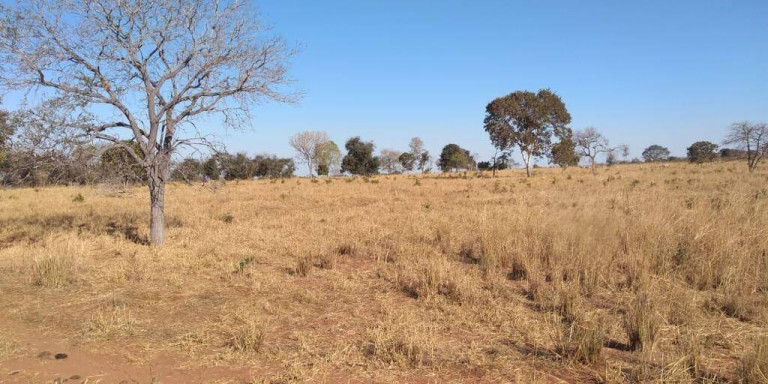 Fazenda à Venda, 121 m² em Zona Rural - Montes Claros De Goiás