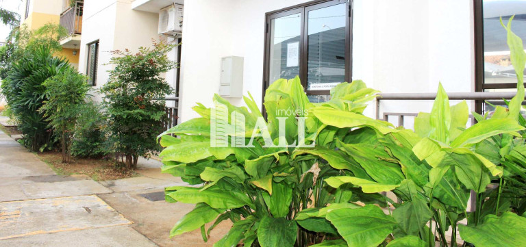 Imagem Apartamento com 2 Quartos à Venda, 50 m² em Jardim Bosque Das Vivendas - São José Do Rio Preto Imagem Apartamento com 2 Quartos à Venda, 50 m² em Jardim Bosque Das Vivendas - São José Do Rio Preto