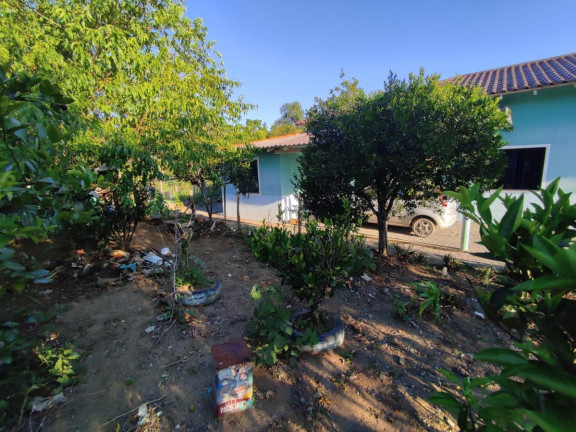 Imagem Casa com 3 Quartos à Venda, 293 m² em Trigolândia - Piên