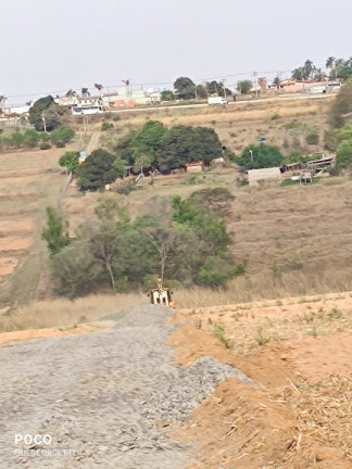 Imagem Terreno à Venda, 5.000 m² em área Rural De Limeira - Limeira Imagem Terreno à Venda, 5.000 m² em área Rural De Limeira - Limeira