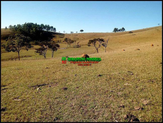 Imagem Fazenda à Venda, 128 m² em Guaratinguetá Imagem Fazenda à Venda, 128 m² em Guaratinguetá