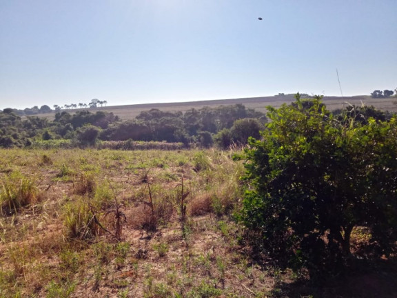 Imagem Terreno à Venda, 36.000 m² em área Rural De Limeira - Limeira Imagem Terreno à Venda, 36.000 m² em área Rural De Limeira - Limeira
