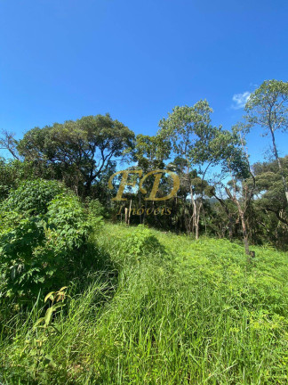 Imagem Terreno à Venda, 1.000 m² em Mairiporã Imagem Terreno à Venda, 1.000 m² em Mairiporã