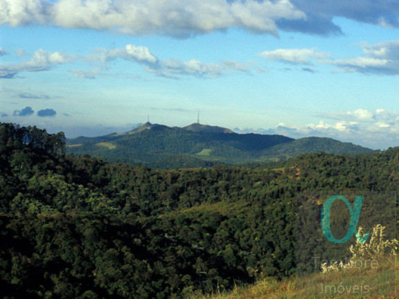 Imagem Terreno à Venda, 490 m² em Alphaville - Santana De Parnaíba Imagem Terreno à Venda, 490 m² em Alphaville - Santana De Parnaíba