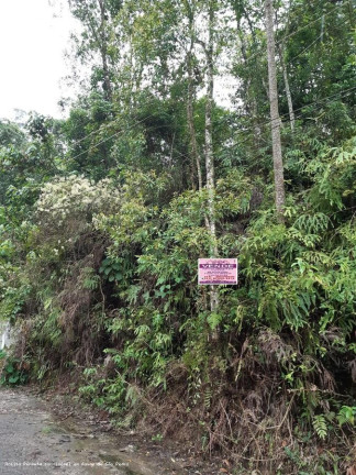 Imagem Terreno à Venda, 1.011 m² em Recreio Da Borda Do Campo - Santo André Imagem Terreno à Venda, 1.011 m² em Recreio Da Borda Do Campo - Santo André