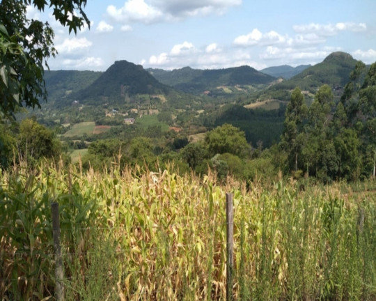 Imagem Imóvel com 2 Quartos à Venda,  em Vila Rica - Feliz