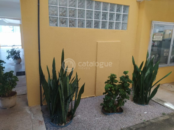 Imagem Apartamento com 3 Quartos à Venda, 111 m² em Capim Macio - Natal Imagem Apartamento com 3 Quartos à Venda, 111 m² em Capim Macio - Natal