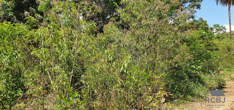 Imagem Terreno à Venda, 10.000 m² em Vista Alegre - Esmeraldas Imagem Terreno à Venda, 10.000 m² em Vista Alegre - Esmeraldas