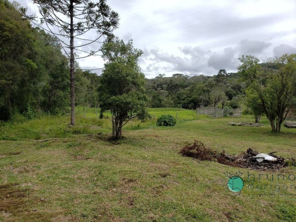 Imagem Imóvel com 3 Quartos à Venda, 350.000 m² em Zona Rural - Bom Retiro
