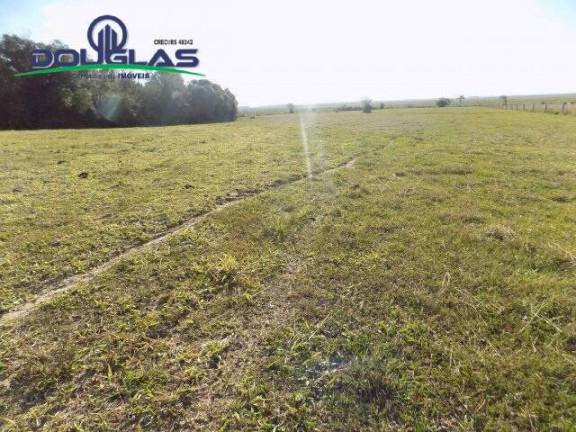 Imagem Chácara à Venda, 8 m² em águas Claras - Viamão Imagem Chácara à Venda, 8 m² em águas Claras - Viamão