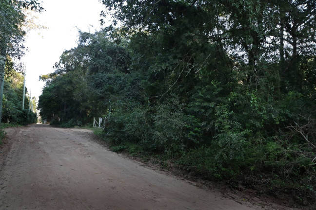 Imagem Terreno à Venda, 1.350 m² em águas Claras - Viamão Imagem Terreno à Venda, 1.350 m² em águas Claras - Viamão