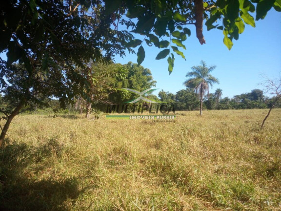Imagem Fazenda à Venda, 135 m² em Prata Imagem Fazenda à Venda, 135 m² em Prata