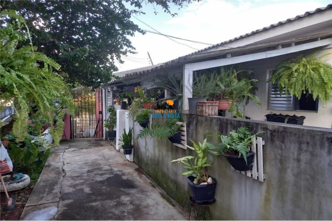 Imagem Casa com 8 Quartos à Venda, em Vila Sônia - São Paulo Imagem Casa com 8 Quartos à Venda, em Vila Sônia - São Paulo
