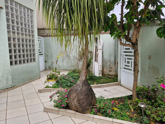 Imagem Casa com 3 Quartos à Venda, 250 m² em Ponta Da Praia - Santos