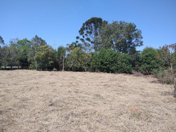Terreno à Venda,  em Antes Do Centro - Ibiúna