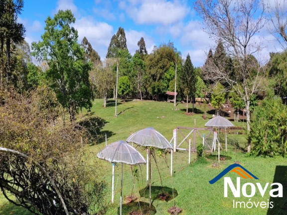 Imagem Imóvel à Venda,  em Linha Imperial - Nova Petrópolis